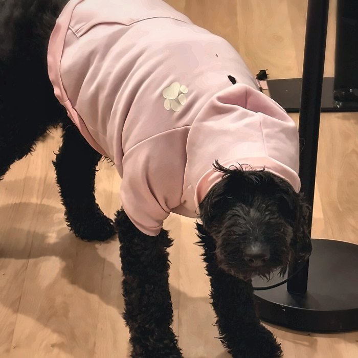 Rebel in a pink sweater